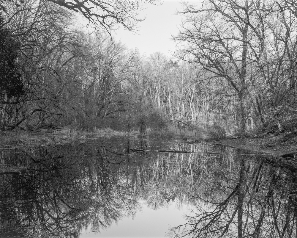 Chambre photographique 4×5